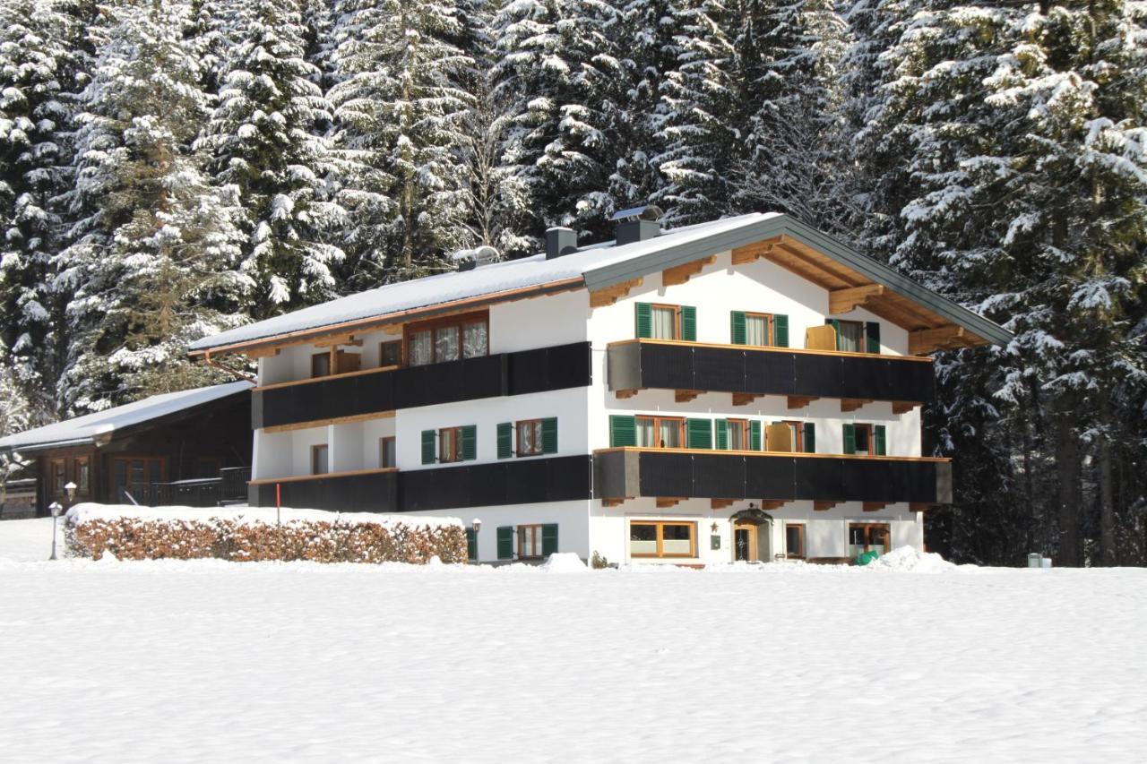 Otto Steiner Appartements Pension Ellmau & Wilder Kaiser Exteriör bild
