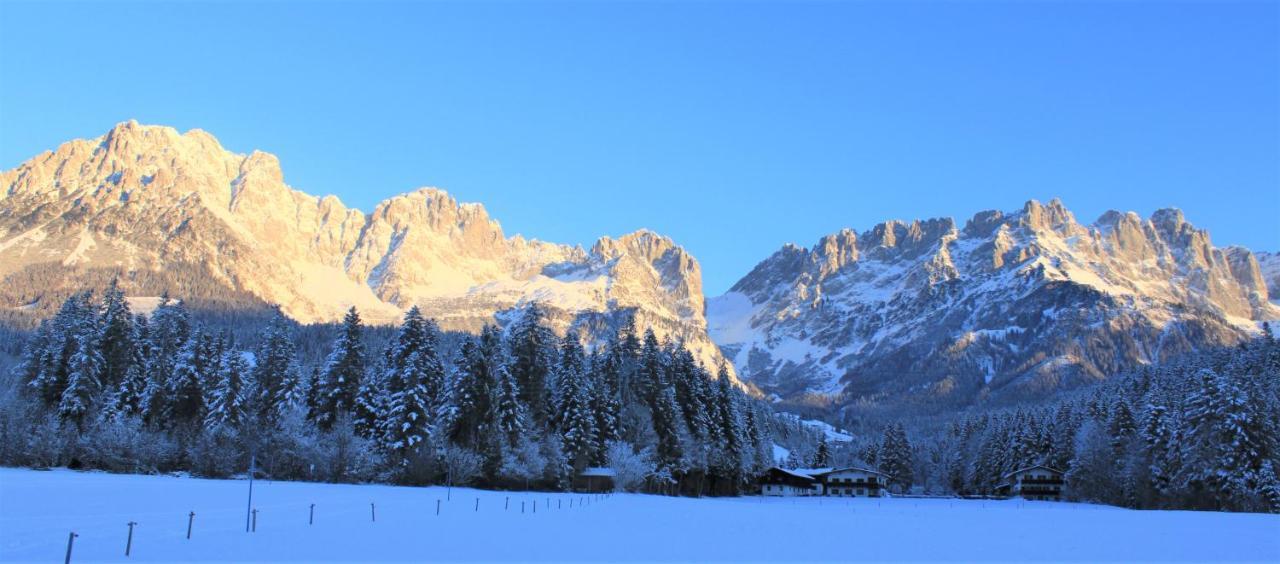 Otto Steiner Appartements Pension Ellmau & Wilder Kaiser Exteriör bild