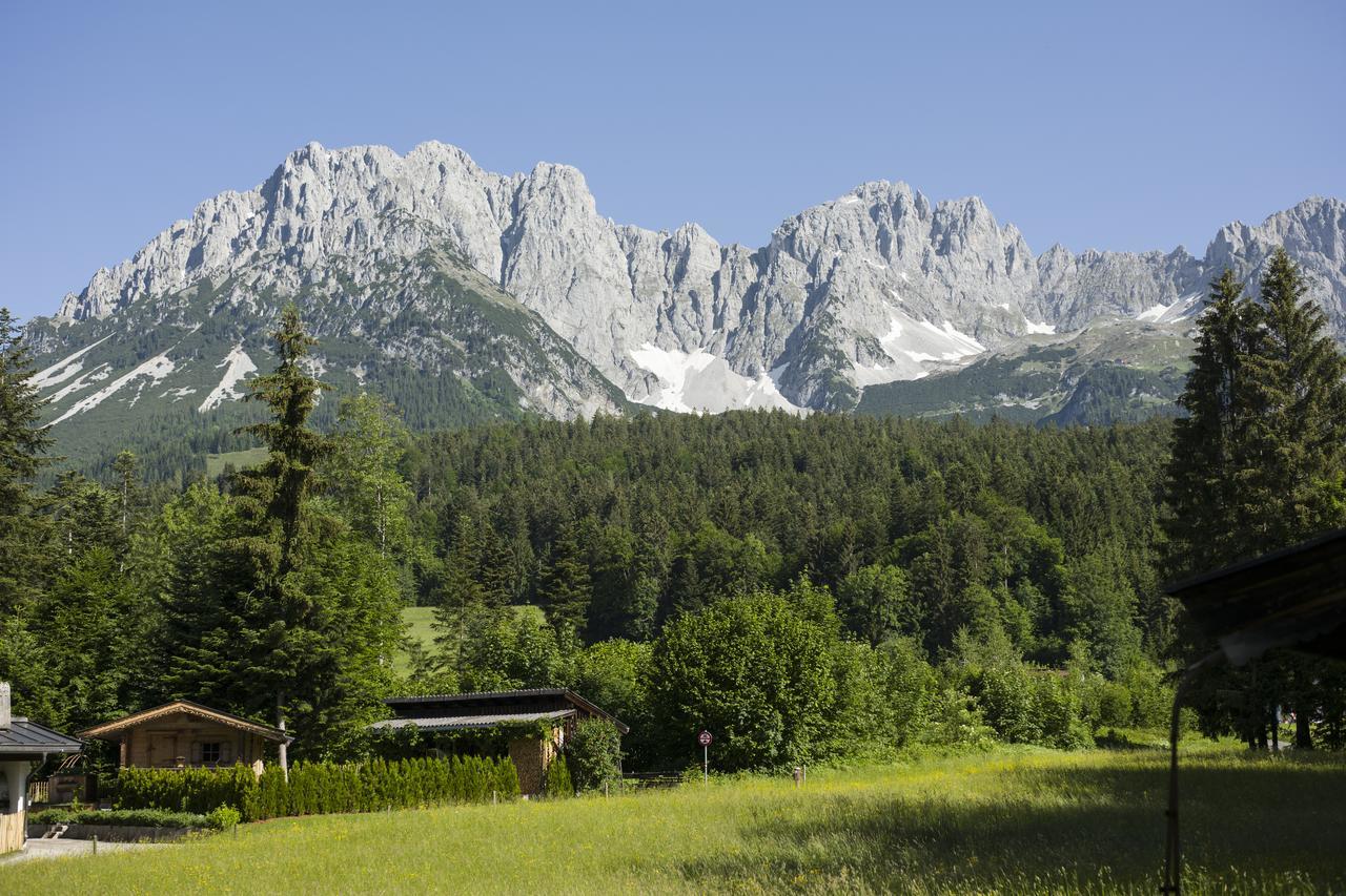 Otto Steiner Appartements Pension Ellmau & Wilder Kaiser Exteriör bild