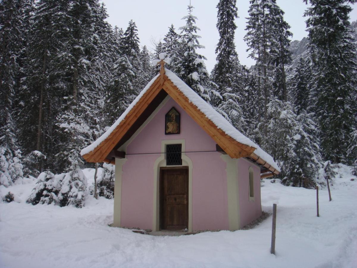 Otto Steiner Appartements Pension Ellmau & Wilder Kaiser Exteriör bild